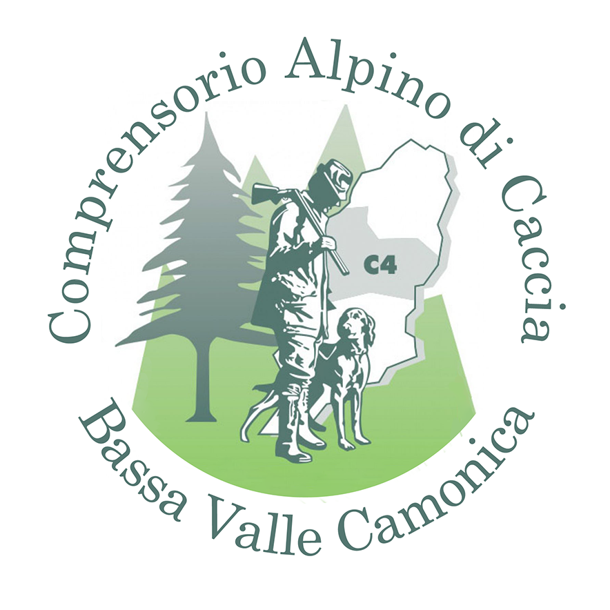 https://www.comprensorioalpinoc4.it/wp-content/uploads/2023/11/comprensorio-alpino-logo-trasparente.png